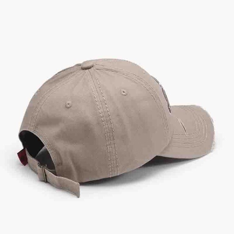 baseball cap2