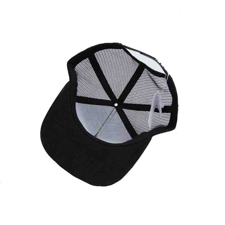 sbapback cap4