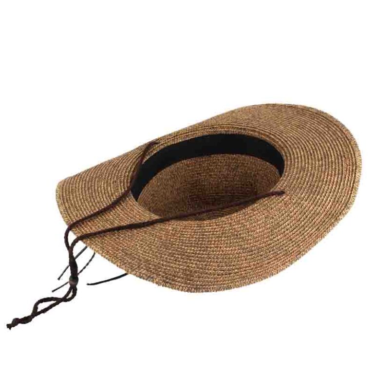 darw hat1